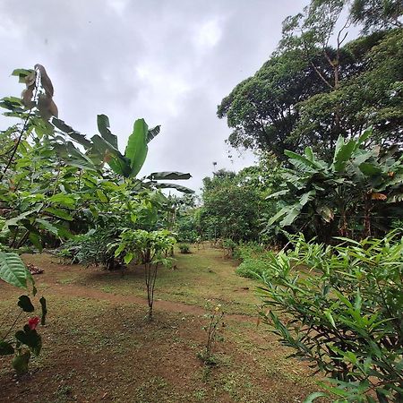 Cabinas Corcovado Green Parrot, Los Planes Drake Drake Bay Bagian luar foto