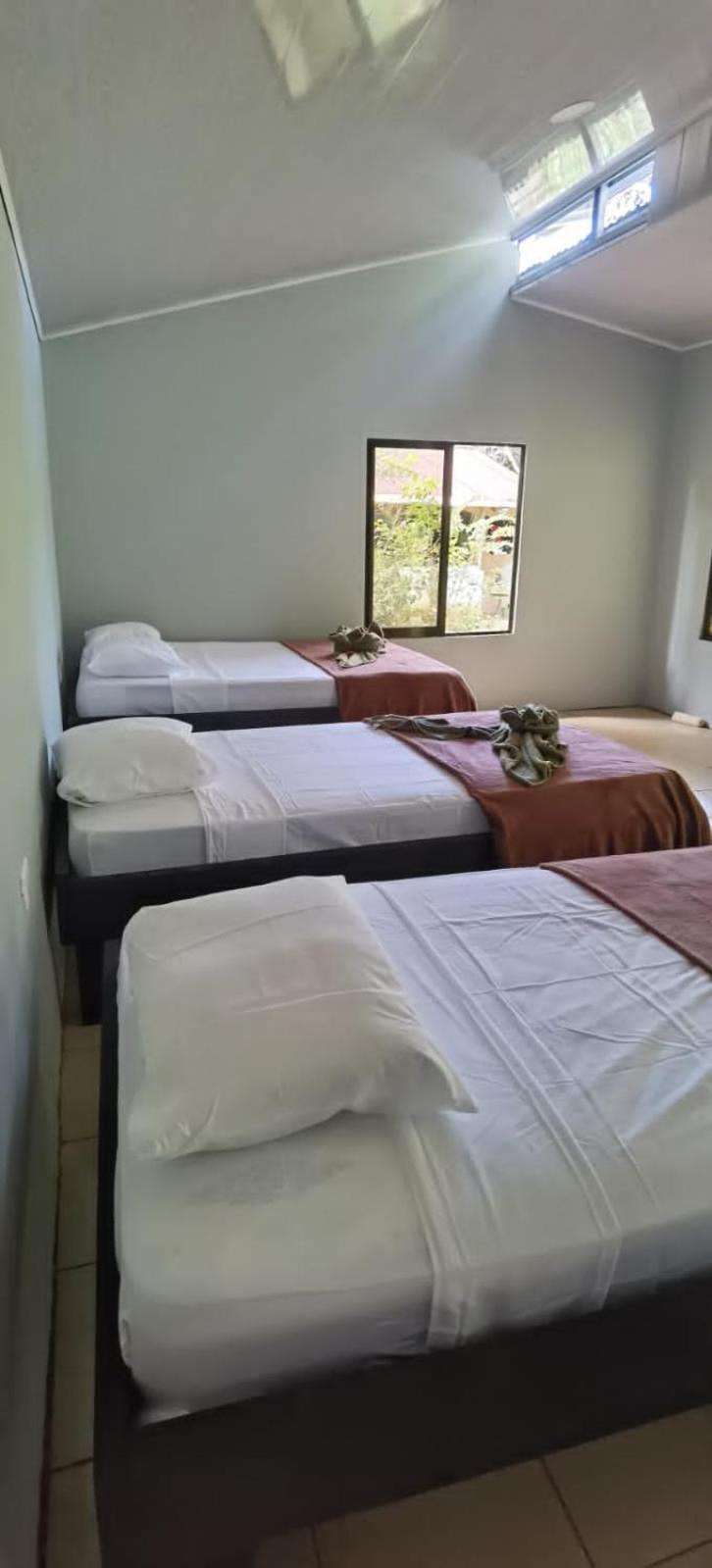 Cabinas Corcovado Green Parrot, Los Planes Drake Drake Bay Bagian luar foto
